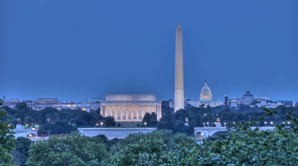 ํฌํธ ๋คํฐํธ