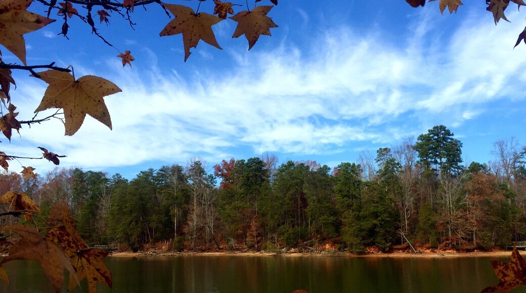 1,116 acres with 7 miles of trails. Family oriented with picnic areas and camping. A great place to get outside and move a little bit!