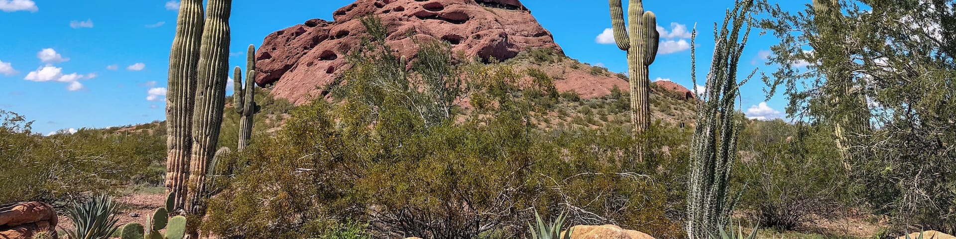 Papago Park, rock formation in Scottsdale, Phoenix, Arizona,USA.