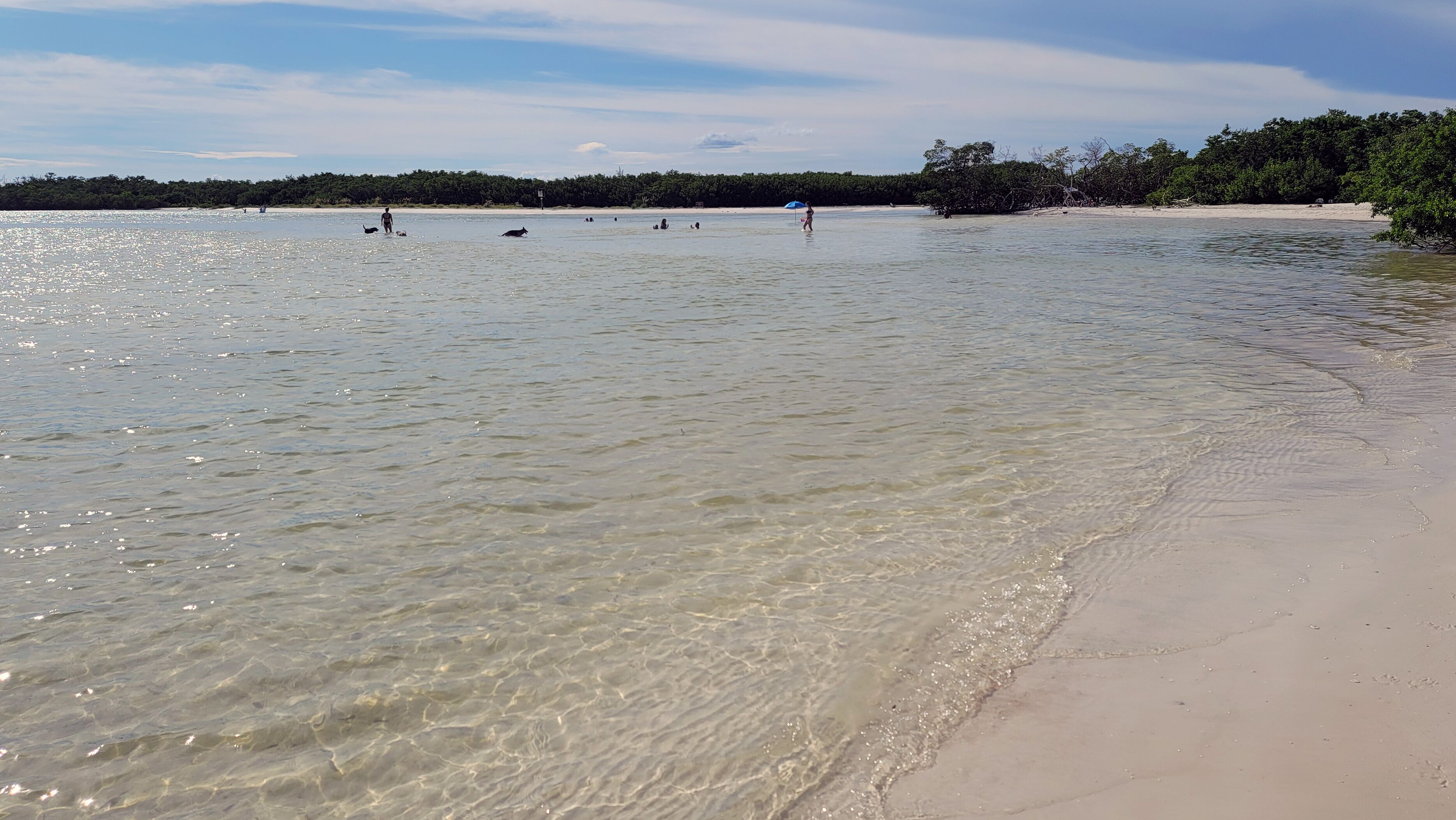 Dog Beach in Bonita Springs Florida. Lee County Dog Beach is a popular dog beach in Bonita Springs. Your dog will love a visit to this beach designed for dogs and owners alike.