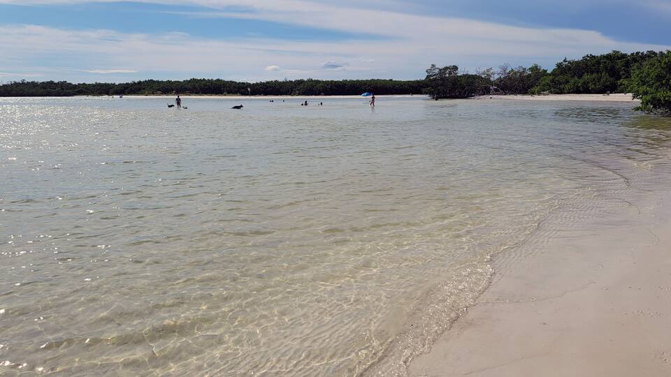 Dog Beach in Bonita Springs Florida. Lee County Dog Beach is a popular dog beach in Bonita Springs. Your dog will love a visit to this beach designed for dogs and owners alike.