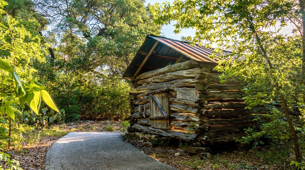 old log cabin in the forest