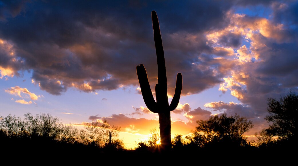 Fairfield Sunrise East