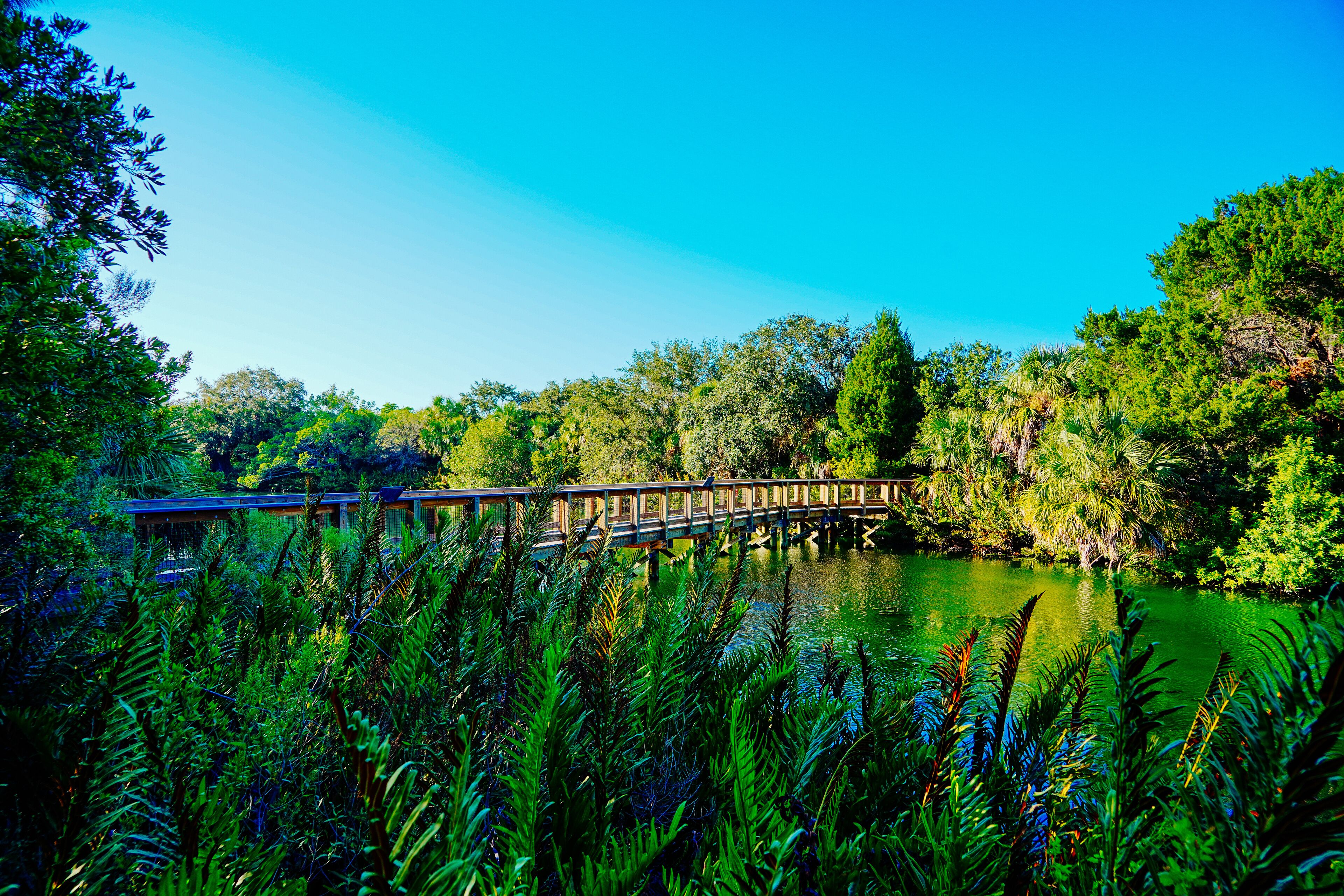 Wall Springs Park and Pinellas Trail in Palm Harbor in Pinellas county