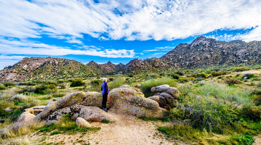 Rio Verde Foothills