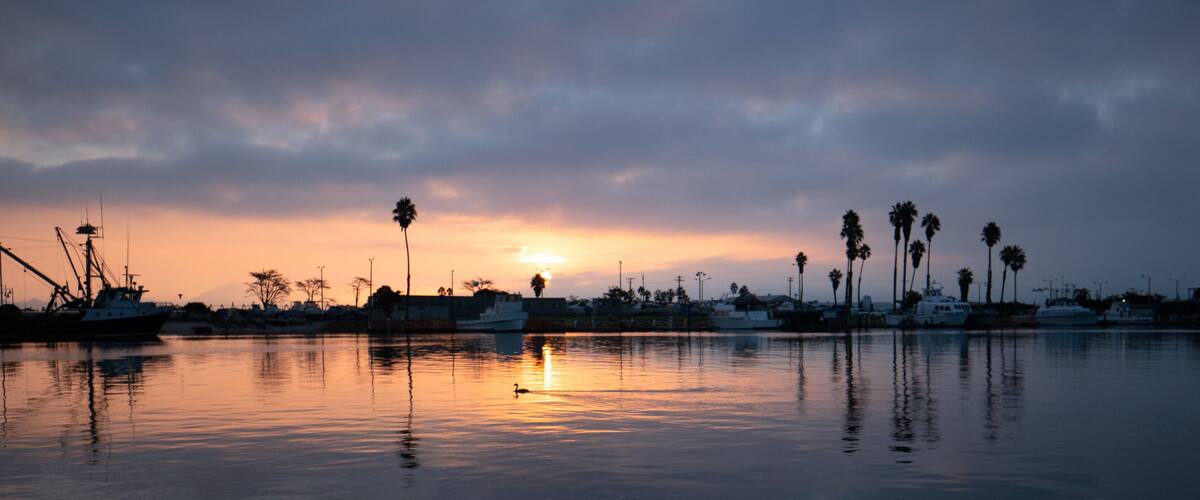 Duck swimming sunrise in Channel Islands Harbor in Port Hueneme California United States