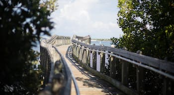 วอล์คเกอร์ ฮอลลี ฮิลล์