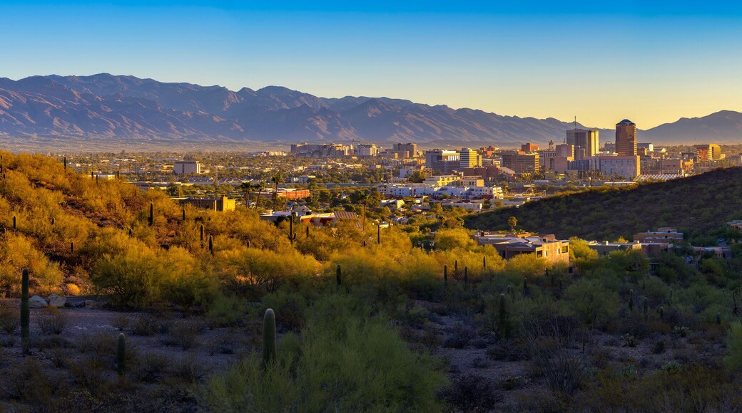Panoramic view of Tucson, Arizona, with downtown buildings surrounded by desert landscape, saguaro cacti, and Santa Catalina Mountains at sunrise.