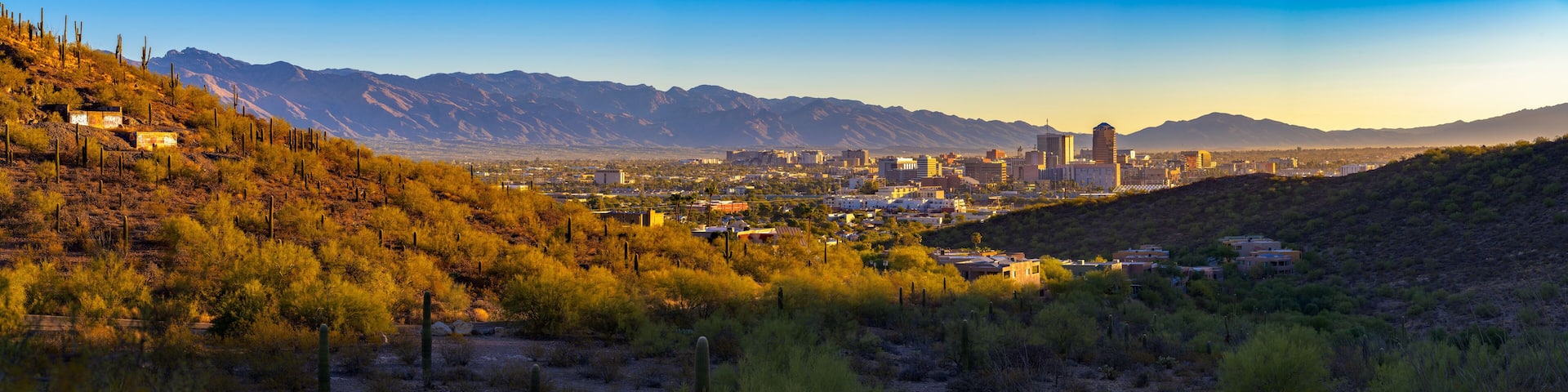 Panoramic view of Tucson, Arizona, with downtown buildings surrounded by desert landscape, saguaro cacti, and Santa Catalina Mountains at sunrise.