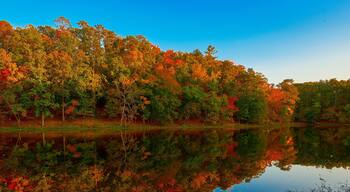 ํฌ๋ ์คํธ ํํฌ