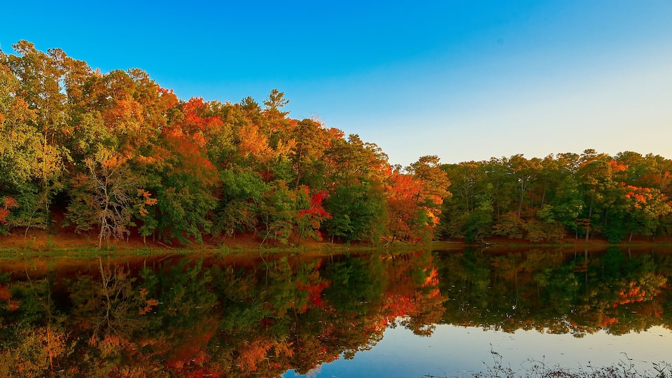 A calm lake surrounded by autumn-colored trees reflecting in the water.
