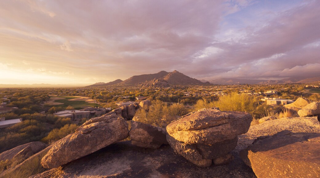 Scottsdale,Arizona desert landscape
