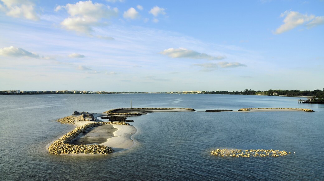 South Palm Park Neighborhood Association