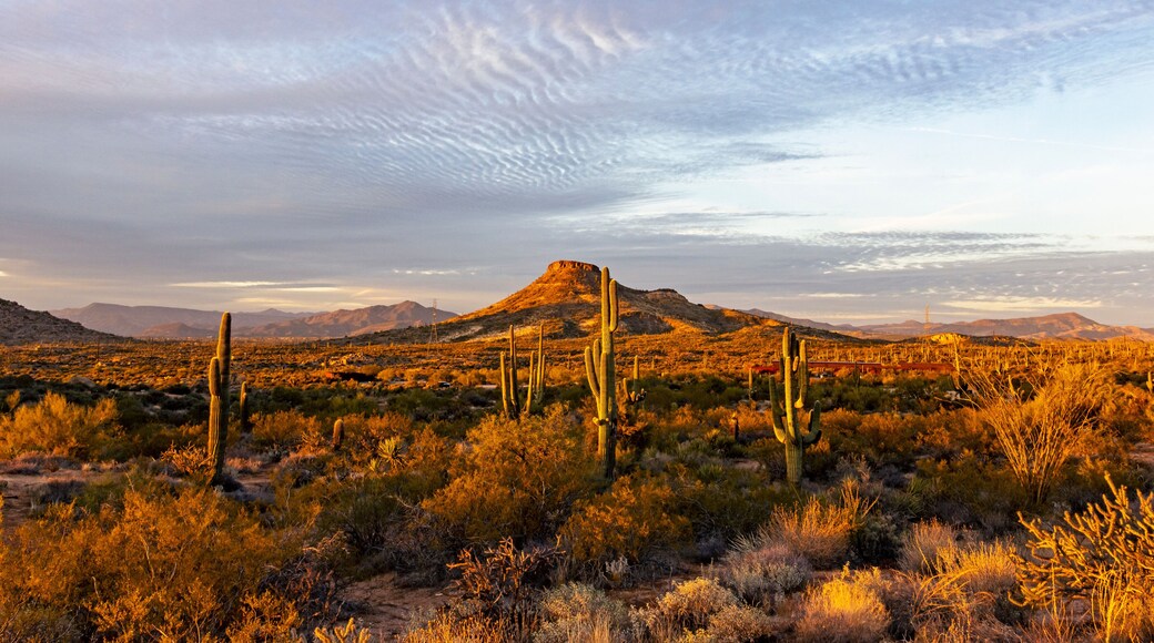 Dusk Time At Browns Ranch Desert Preserve In North Scottsdale, AZ
