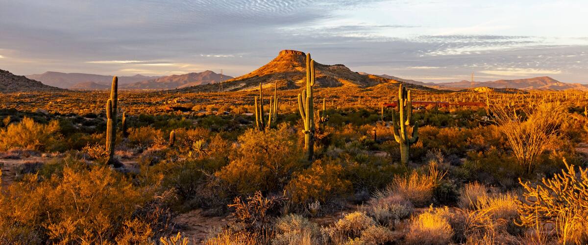 Dusk Time At Browns Ranch Desert Preserve In North Scottsdale, AZ