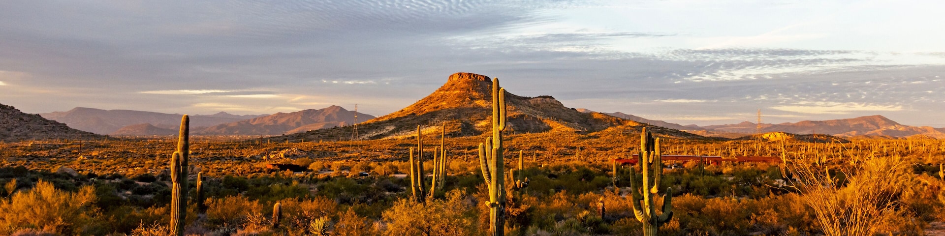 Dusk Time At Browns Ranch Desert Preserve In North Scottsdale, AZ