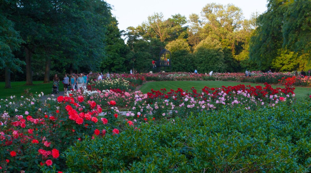 Park of Roses, Columbus, Ohio