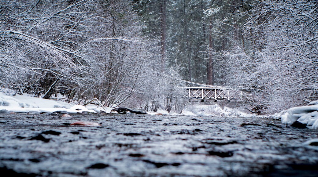 แกรนท์ครีก