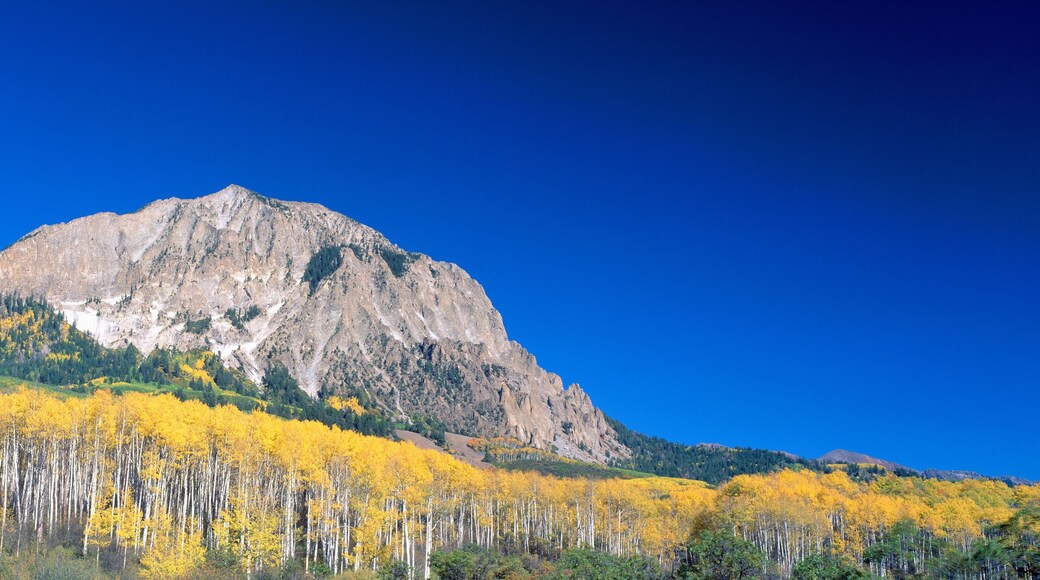 Conifer Mountain and Meadows