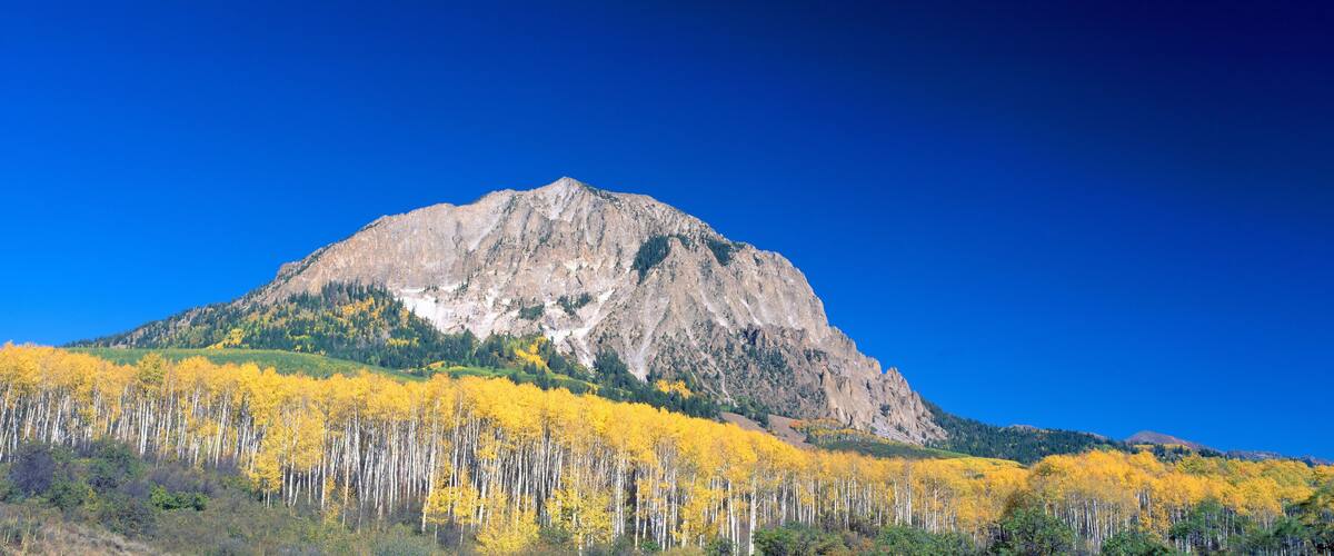 Beckwith Mountain at Kebler Pass in Gunnison National Forest, Colorado