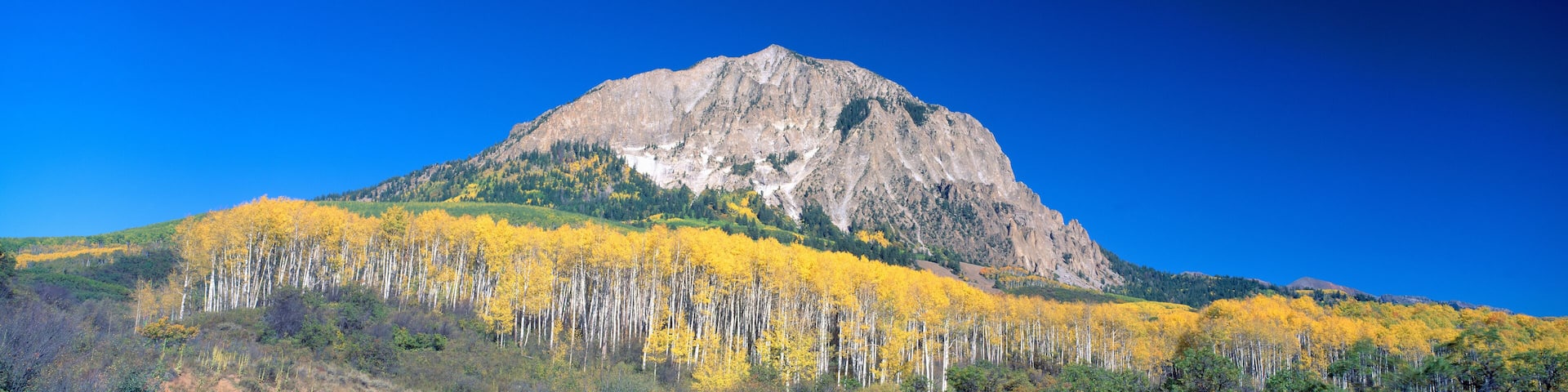 Beckwith Mountain at Kebler Pass in Gunnison National Forest, Colorado