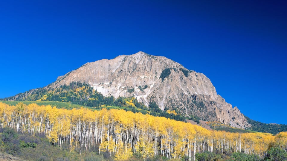 Beckwith Mountain at Kebler Pass in Gunnison National Forest, Colorado