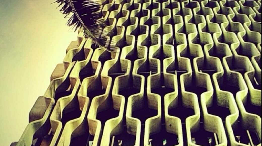 IBM Building (1962). Designed by Vladimir Ossipoff in 1962. In a city filled with midcentury modern architecture The IBM Bldg stands apart as one of the most elegant examples. The concrete "grill" is meant to resemble both a typical Polynesian pattern and a computer punchcard. It also serves the practical purpose of a sunscreen. The unique shape makes it self-washing in the rain.