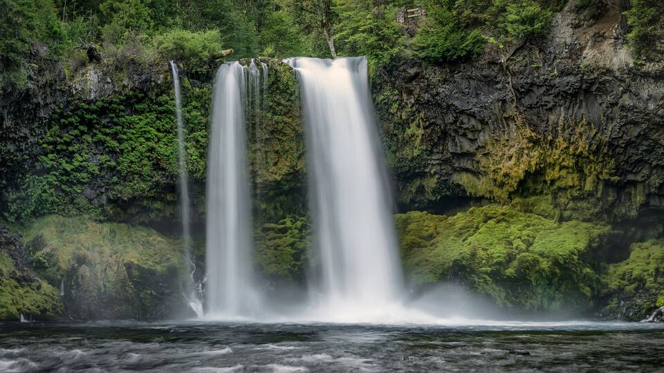Koosah Falls Waterfall - Willamette National Forest - Oregon