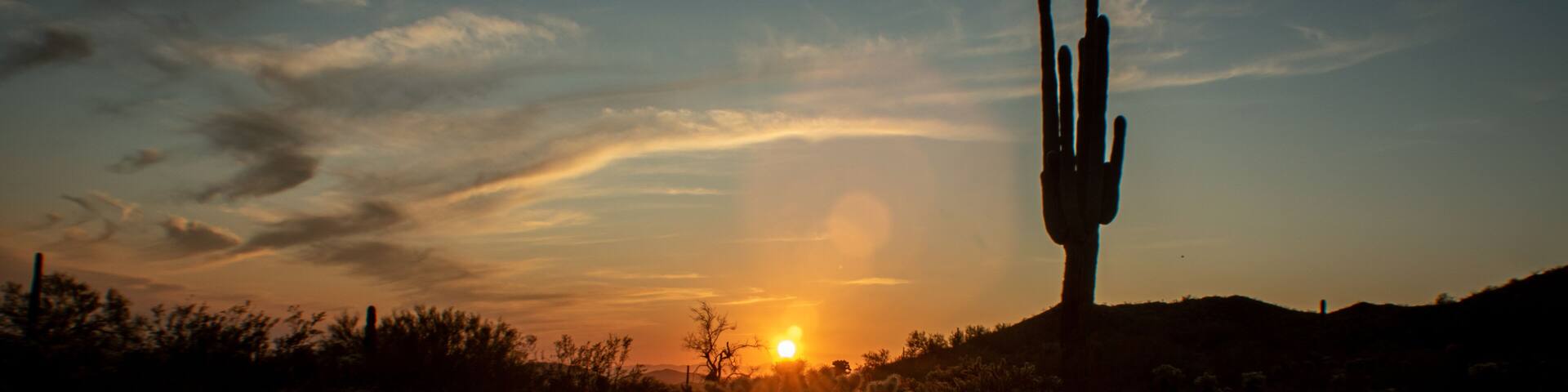 Sonoran Desert sunset with cacti