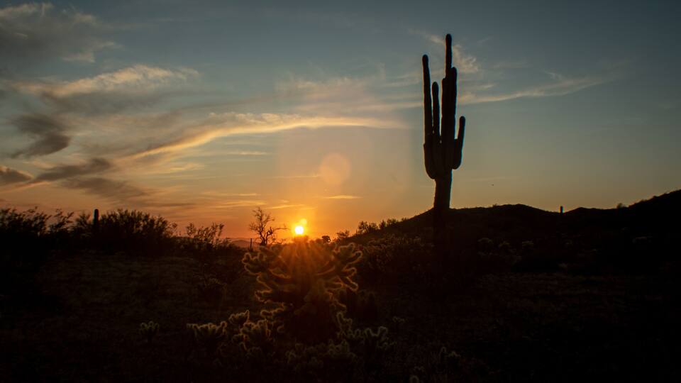 Sonoran Desert sunset with cacti
