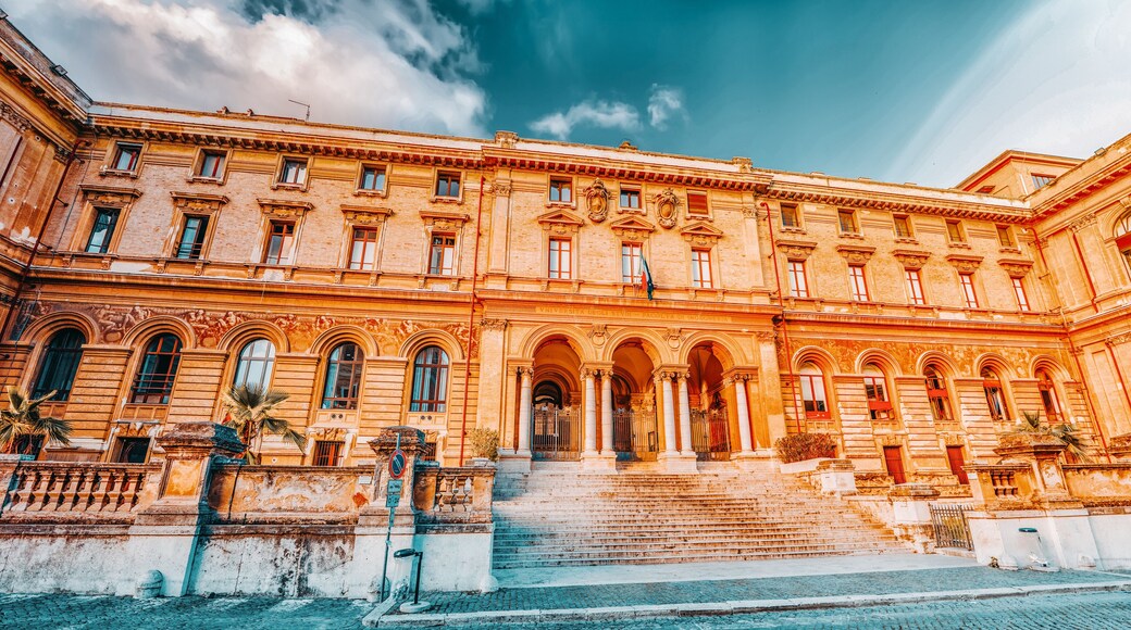 มหาวิทยาลัย