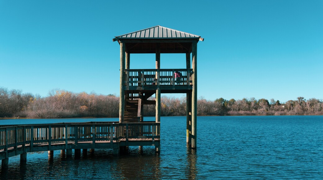 Pier in Sugar Land