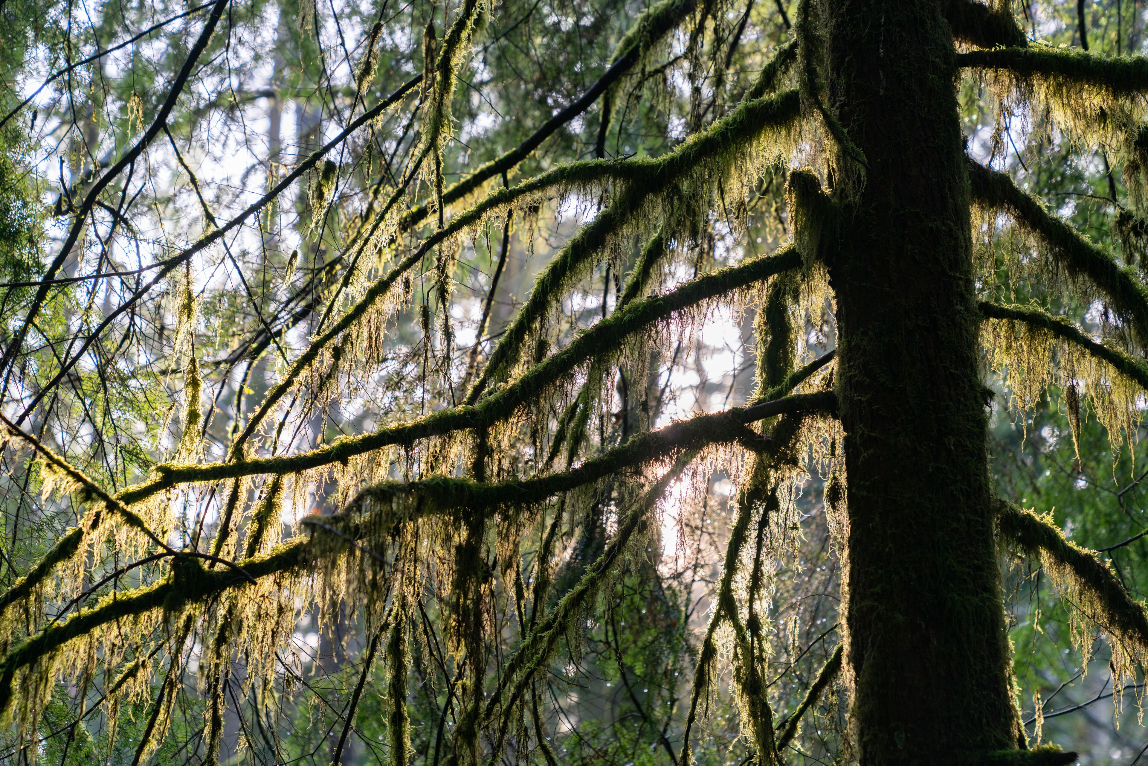 Pleasant Valley