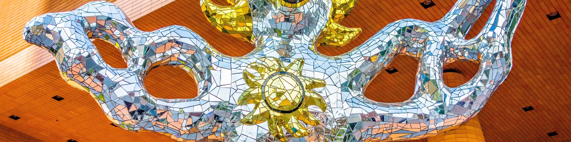 charlotte nc skyline and street scenes during day time