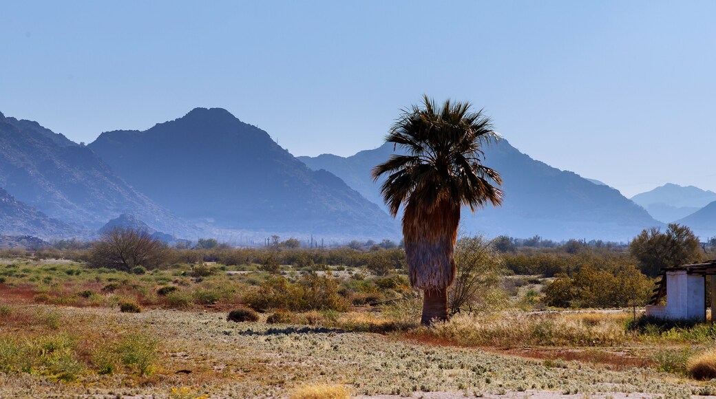 ์ ๋ง ์ด์คํธ