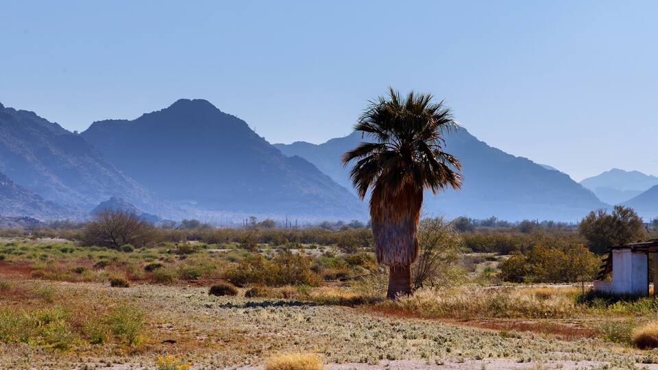 Mountains covered morning fog in the Arizona, USA