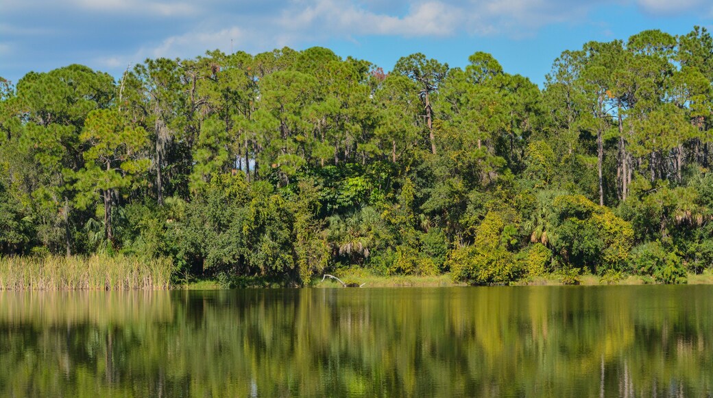 Beautiful view at Lake Seminole, Seminole, Florida