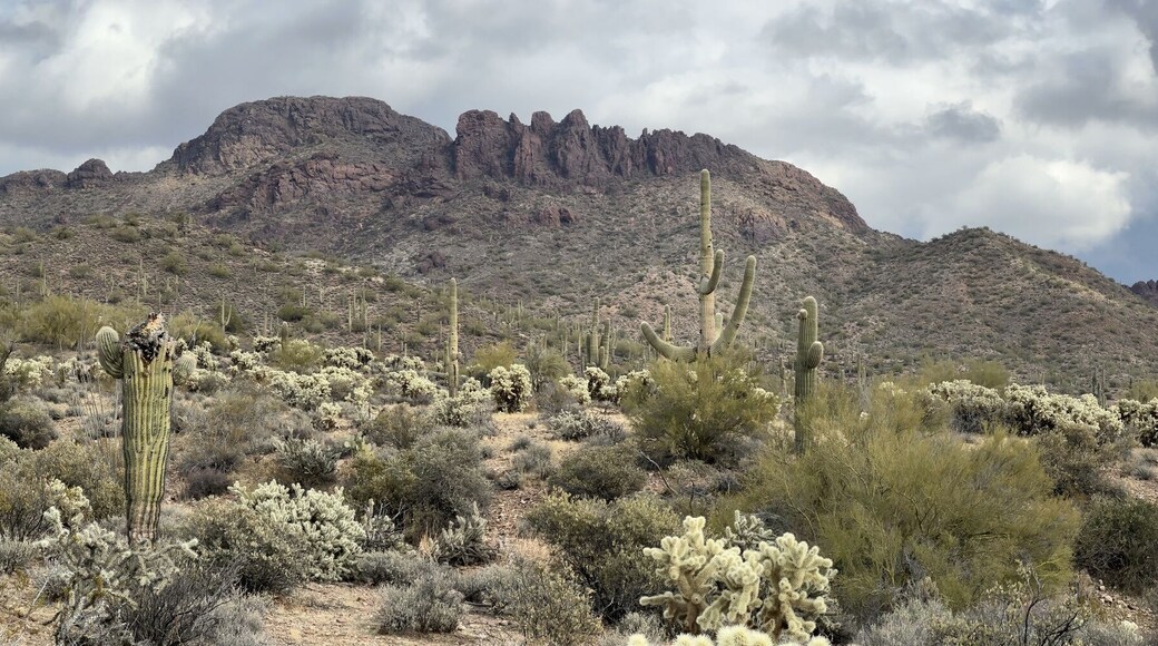 因格拉姆普萊斯