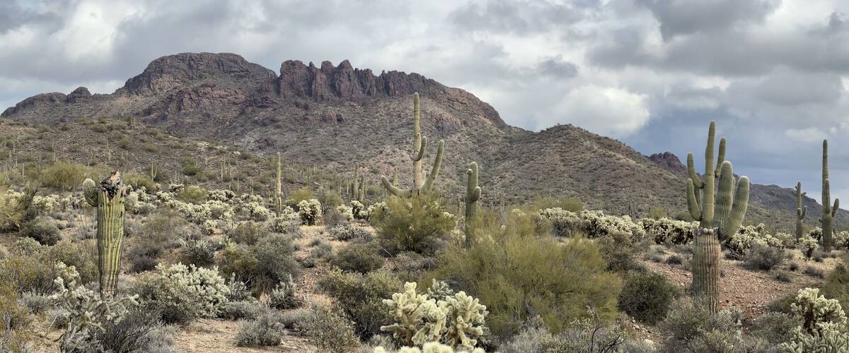 Views from the American Southwest - exploring the landscape 1.5 hours outside of Phoenix, Arizona towards Wickenburg