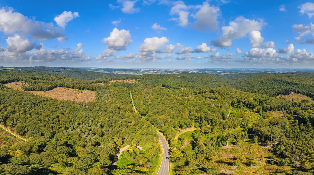 Spessart-Main-Odenwald