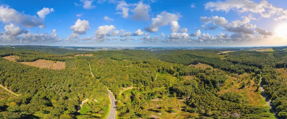 A forested landscape with a winding road and distant hills under a partly cloudy sky.