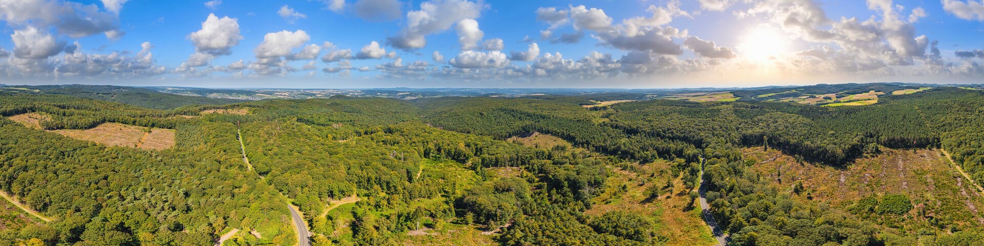 A forested landscape with a winding road and distant hills under a partly cloudy sky.
