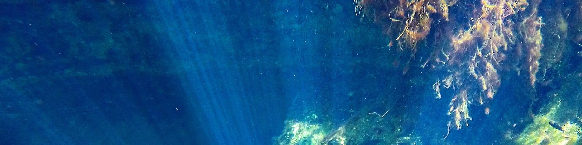 🏊🏽 Swimming in a #cenote in 🇮🇹Mexico ✔️ the freshwater is cool and cleansing 🙏🏼 while the clarity makes the views out of this world 💙