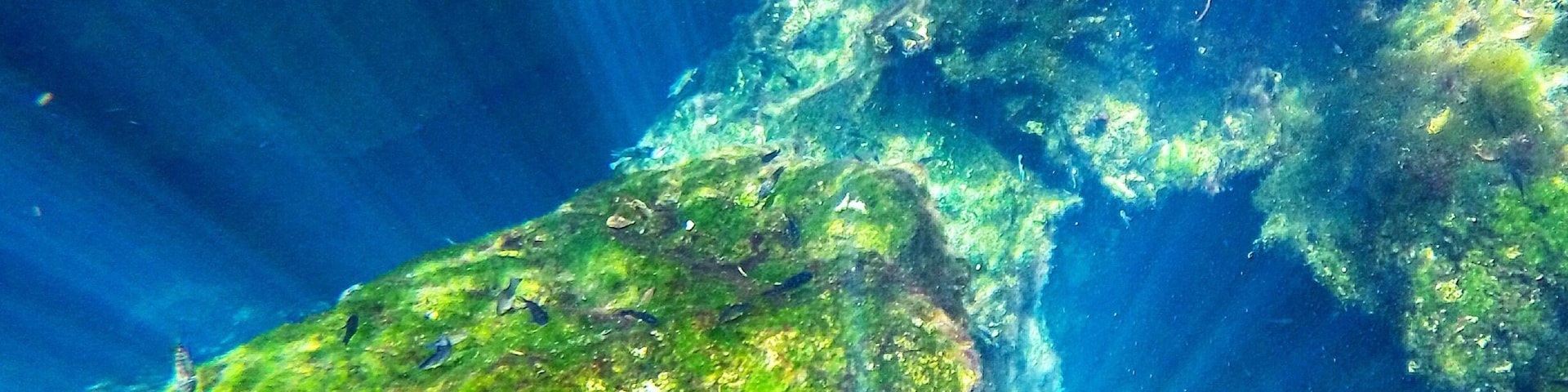 🏊🏽 Swimming in a #cenote in 🇮🇹Mexico ✔️ the freshwater is cool and cleansing 🙏🏼 while the clarity makes the views out of this world 💙