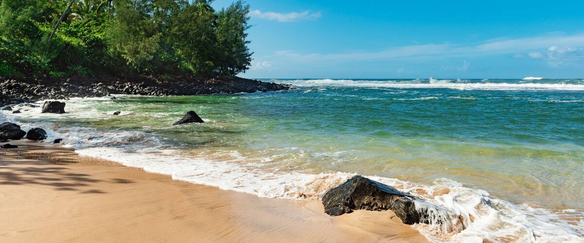 A beach with clear turquoise water, sandy shore, and palm trees.