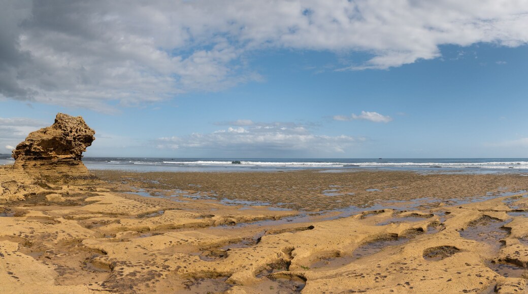 Geelong e la Bellarine
