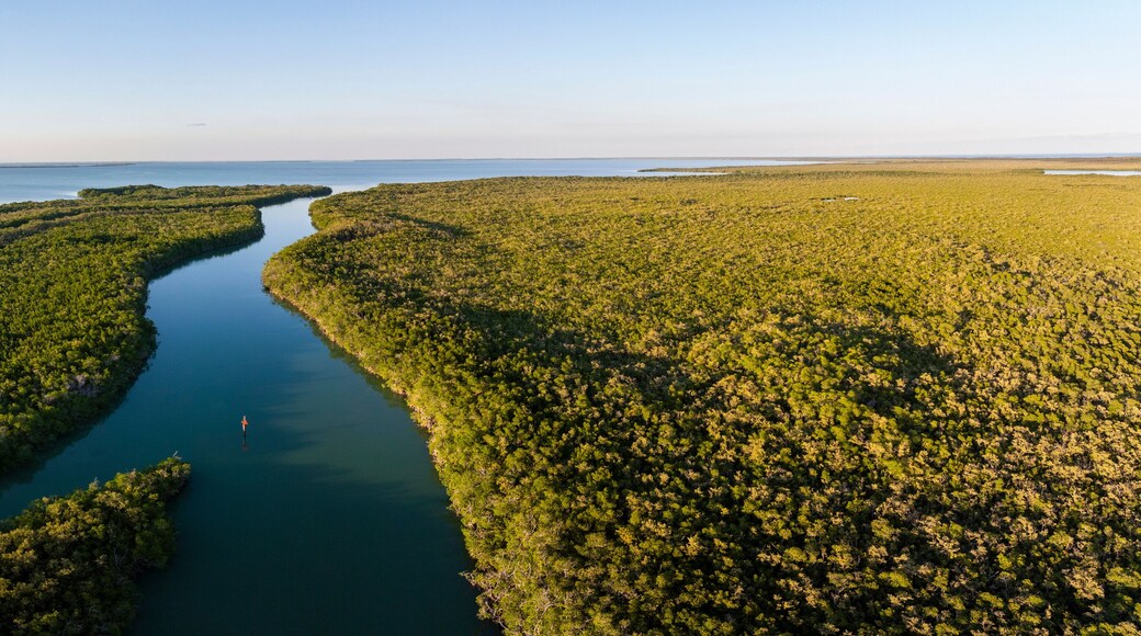 Aerial view of blackwater sound and florida bay with lush greenery and tranquil wetlands, North Key Largo, Florida, United States.