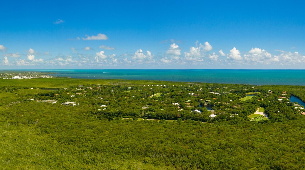 Drone aerial photo Ocean Reef Club North Key Largo Florida beautiful scenic neighborhood