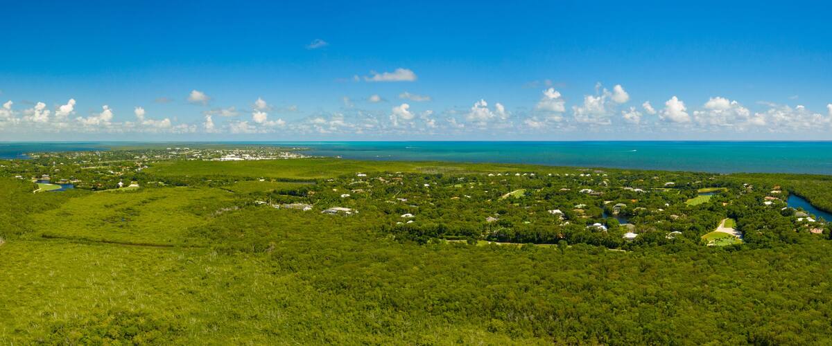 A coastal landscape with lush greenery, a clear blue sky, and a distant view of a small town by the sea.