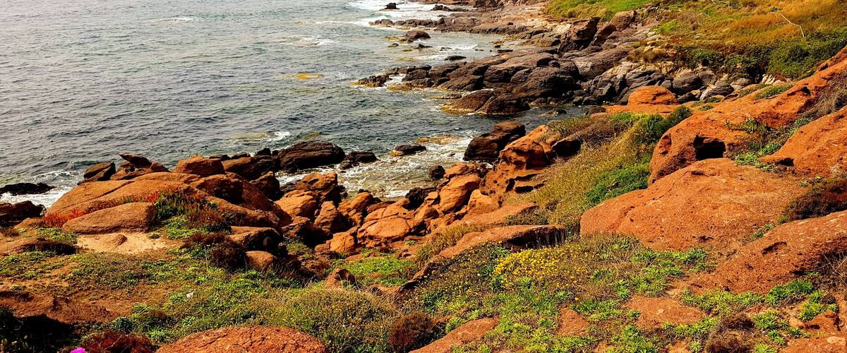 A rocky coastline with waves crashing against the shore, a grassy hill, and a distant island.